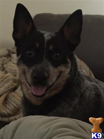 Murphy2014 Picture 1